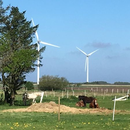 Gæstehuset “Vesterhede” Ringkøbing Eksteriør billede