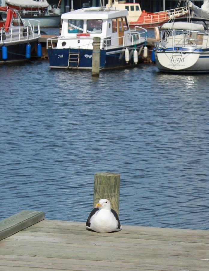 Gæstehuset “Vesterhede” Ringkøbing Eksteriør billede
